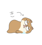 だるしば#日常編（個別スタンプ：1）