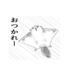 エゾモモンガと北の国から！（個別スタンプ：2）