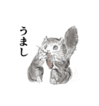 エゾモモンガと北の国から！（個別スタンプ：6）
