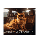 使い所が分からない映画字幕風スタンプ（個別スタンプ：12）