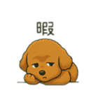トイプのC君のラインスタンプ（個別スタンプ：11）