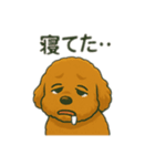 トイプのC君のラインスタンプ（個別スタンプ：19）