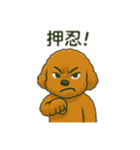 トイプのC君のラインスタンプ（個別スタンプ：25）