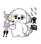 B＆Wシーズー犬 2025 「たまには本音で」（個別スタンプ：3）
