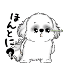 B＆Wシーズー犬 2025 「たまには本音で」（個別スタンプ：4）