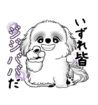 B＆Wシーズー犬 2025 「たまには本音で」（個別スタンプ：7）