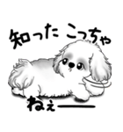B＆Wシーズー犬 2025 「たまには本音で」（個別スタンプ：8）