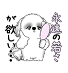 B＆Wシーズー犬 2025 「たまには本音で」（個別スタンプ：9）