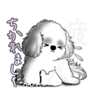 B＆Wシーズー犬 2025 「たまには本音で」（個別スタンプ：10）
