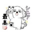 B＆Wシーズー犬 2025 「たまには本音で」（個別スタンプ：11）