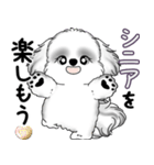B＆Wシーズー犬 2025 「たまには本音で」（個別スタンプ：12）