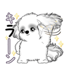 B＆Wシーズー犬 2025 「たまには本音で」（個別スタンプ：15）