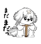 B＆Wシーズー犬 2025 「たまには本音で」（個別スタンプ：17）