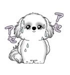 B＆Wシーズー犬 2025 「たまには本音で」（個別スタンプ：22）