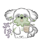 B＆Wシーズー犬 2025 「たまには本音で」（個別スタンプ：24）