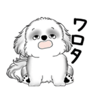 B＆Wシーズー犬 2025 「たまには本音で」（個別スタンプ：28）