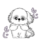 B＆Wシーズー犬 2025 「たまには本音で」（個別スタンプ：30）