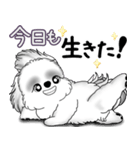 B＆Wシーズー犬 2025 「たまには本音で」（個別スタンプ：32）