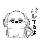 B＆Wシーズー犬 2025 「たまには本音で」（個別スタンプ：35）