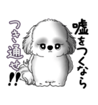 B＆Wシーズー犬 2025 「たまには本音で」（個別スタンプ：39）