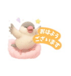 【日常会話】ふわふわ小鳥のゆめかわ時間♪（個別スタンプ：1）