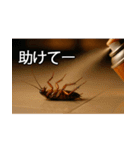 愛されたいゴキブリ【ドッキリ・日常】（個別スタンプ：1）