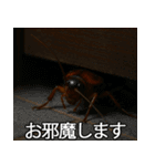 愛されたいゴキブリ【ドッキリ・日常】（個別スタンプ：12）