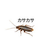 愛されたいゴキブリ【ドッキリ・日常】（個別スタンプ：14）