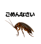 愛されたいゴキブリ【ドッキリ・日常】（個別スタンプ：21）