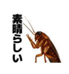 愛されたいゴキブリ【ドッキリ・日常】（個別スタンプ：25）
