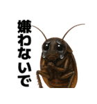 愛されたいゴキブリ【ドッキリ・日常】（個別スタンプ：26）