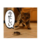 愛されたいゴキブリ【ドッキリ・日常】（個別スタンプ：29）