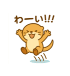 かわいいラッコの日常スタンプ（個別スタンプ：18）