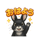 黒ウサギのキラキラメッセージ（個別スタンプ：1）