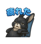 黒ウサギのキラキラメッセージ（個別スタンプ：6）