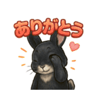 黒ウサギのキラキラメッセージ（個別スタンプ：8）