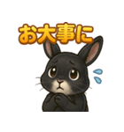 黒ウサギのキラキラメッセージ（個別スタンプ：14）
