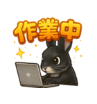 黒ウサギのキラキラメッセージ（個別スタンプ：17）