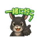 黒ウサギのキラキラメッセージ（個別スタンプ：19）