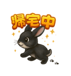 黒ウサギのキラキラメッセージ（個別スタンプ：20）