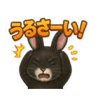 黒ウサギのキラキラメッセージ（個別スタンプ：30）