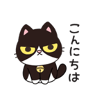 リオ猫（個別スタンプ：5）
