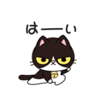 リオ猫（個別スタンプ：7）