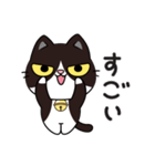 リオ猫（個別スタンプ：8）