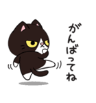 リオ猫（個別スタンプ：12）