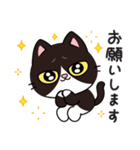 リオ猫（個別スタンプ：13）