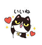 リオ猫（個別スタンプ：18）