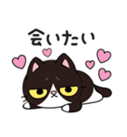 リオ猫（個別スタンプ：19）