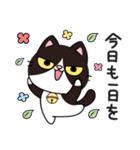 リオ猫（個別スタンプ：25）