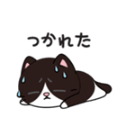 リオ猫（個別スタンプ：27）